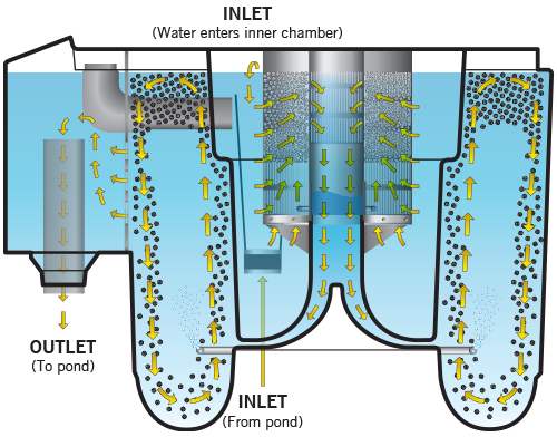 Evolution Aqua Nexus 220+