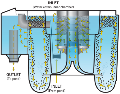 Evolution Aqua Nexus 220+